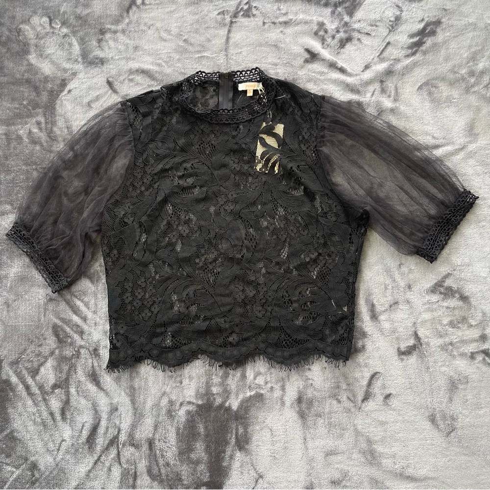 Black Lace Top with Sheer Sleeves (zipper in the back)